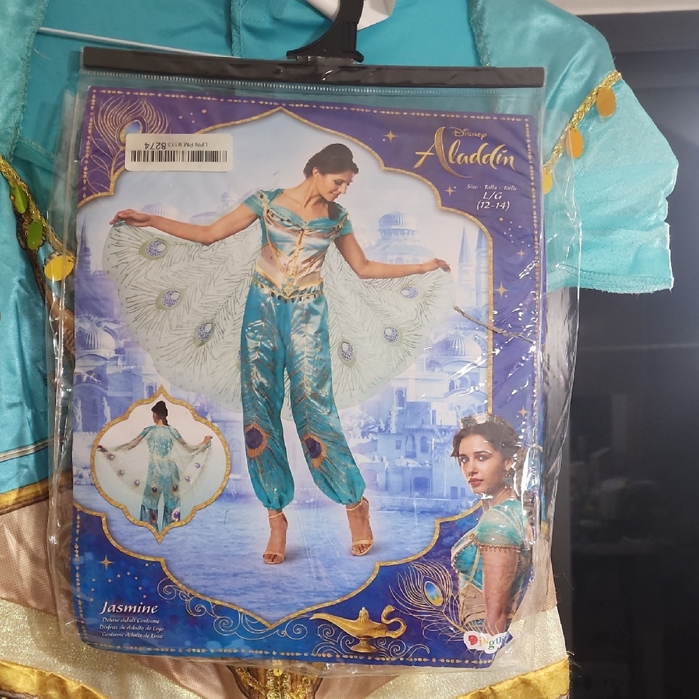 Disney Aladdin Jasmine Outfit in Blue and Gold
